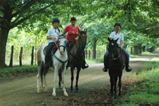 Costa Rica-Guanacaste-Old Spanish Trail of Guanacaste